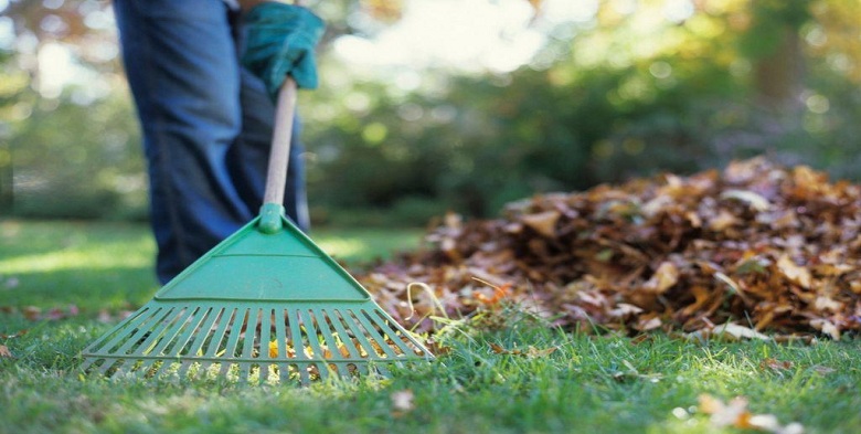 Spring and Fall Cleanup: How Regular Maintenance Can Save You Time and Money