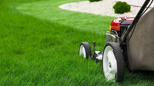 Common Mistakes to Avoid When Mowing Your Lawn